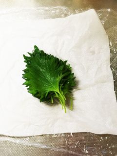 大葉の保存法-レシピのメイン写真