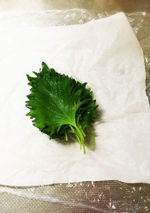 大葉の保存法-レシピのメイン写真
