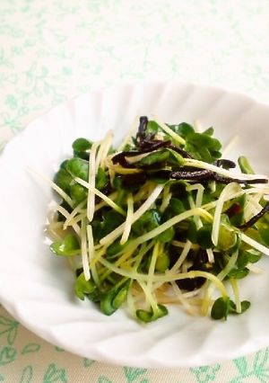 ☺お弁当に♪かいわれと塩昆布の和え物☺-レシピのメイン写真