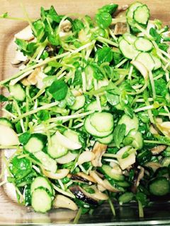 きのこと豆苗の塩麹サラダ-レシピのメイン写真
