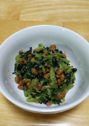 栄養満点!小松菜納豆の海苔胡麻和え-レシピのメイン写真