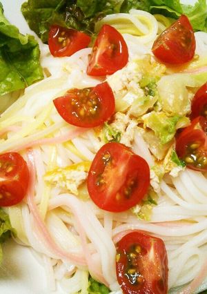 ひやむきサラダかけめん-レシピのメイン写真