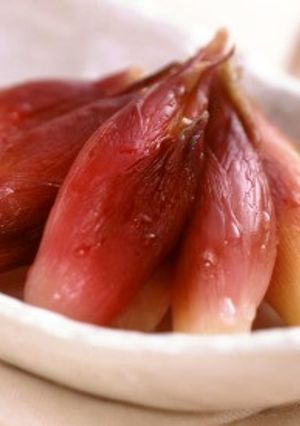 みょうがの甘酢漬-レシピのメイン写真