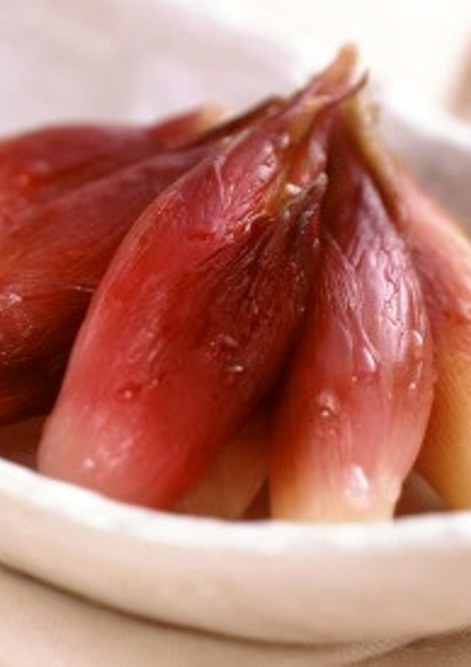 みょうがの甘酢漬-レシピのメイン写真