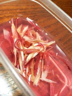 みょうがの甘酢-レシピのメイン写真