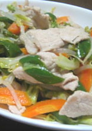 塩ダレ肉野菜炒め-レシピのメイン写真