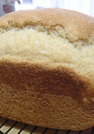 ホシノ天然酵母deおから食パン-レシピのメイン写真