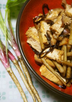 間引きゴボウが塩昆布で♪ほっとする煮物-レシピのメイン写真