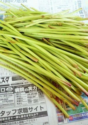 フキの処理の仕方-レシピのメイン写真