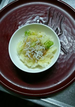 新キャベツのお浸し-レシピのメイン写真