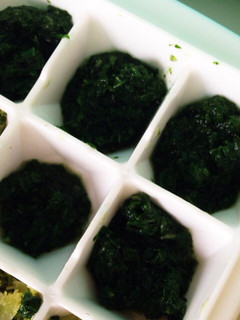 ★離乳食中期★水菜!みずな!-レシピのメイン写真
