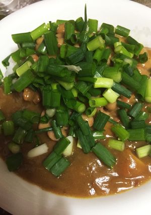 ねぎ納豆カレー-レシピのメイン写真