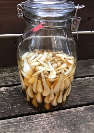 乳酸発酵らっきょう-レシピのメイン写真
