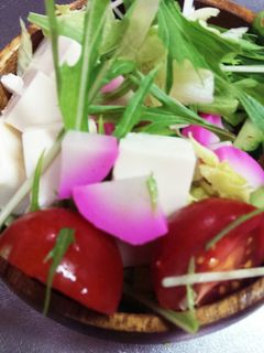ピンクかまぼこと水菜のサラダ-レシピのメイン写真