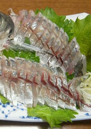 あじ刺身・あじ姿造り【捌き方・盛付方有-レシピのメイン写真