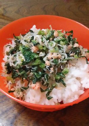 ご飯のお供に、簡単大根の葉ふりかけ‼-レシピのメイン写真