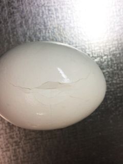 翌日でも薄皮が綺麗に取れるゆで卵-レシピのメイン写真