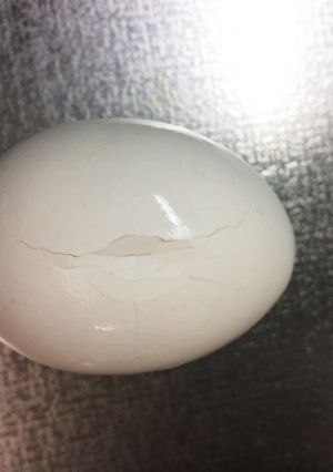 翌日でも薄皮が綺麗に取れるゆで卵-レシピのメイン写真