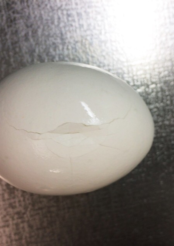 翌日でも薄皮が綺麗に取れるゆで卵-レシピのメイン写真