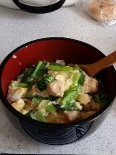 授乳中、妊娠中も!!簡単めんつゆで親子丼-レシピのメイン写真