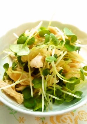 ☺簡単♪鶏ささみとかいわれのおろし和え☺-レシピのメイン写真