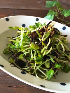 栄養満点*ひじきと豆苗のおかずサラダ-レシピのメイン写真