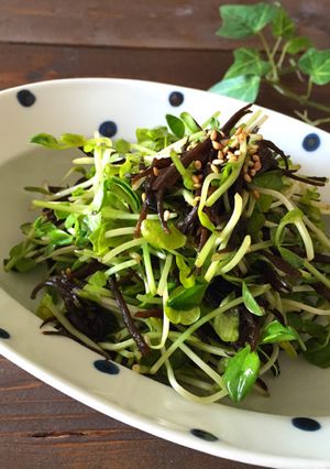 栄養満点＊ひじきと豆苗のおかずサラダ-レシピのメイン写真