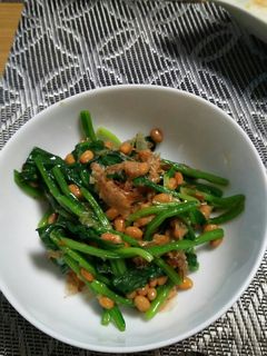 簡単ほうれん草納豆和え-レシピのメイン写真