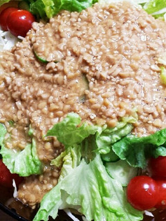 キャベツたっぷり納豆サラダ-レシピのメイン写真