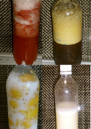 初心者でも簡単★ペットボトルで酵母作り-レシピのメイン写真