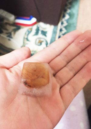 夏バテ防止の簡単キャンディ-レシピのメイン写真