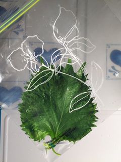 超簡単に長持ちする保存法◆大葉-レシピのメイン写真