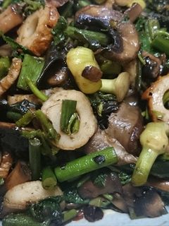 にんにく、マタタビの芽、きのこ等の油炒め-レシピのメイン写真