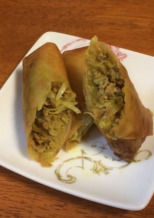 超簡単☆チーズinカレー味の春巻き-レシピのメイン写真