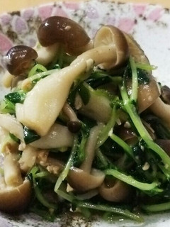 箸休めに…しめじと豆苗味噌バター炒め-レシピのメイン写真