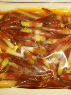 みょうがの茎の醤油漬け-レシピのメイン写真