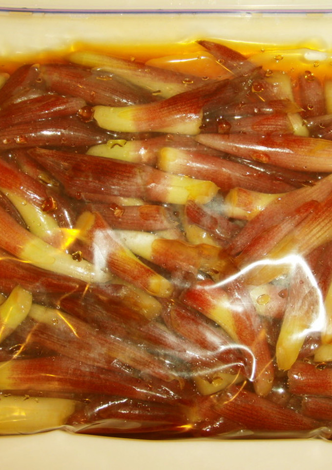 みょうがの茎の醤油漬け-レシピのメイン写真