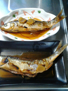 ウグイの焼き煮付け-レシピのメイン写真