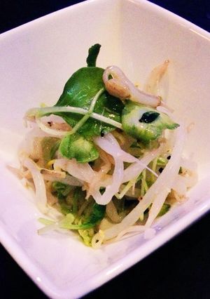 豆苗ともやしの塩ドレ-レシピのメイン写真