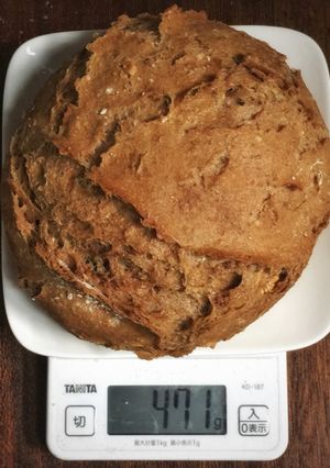 加水率100%で「僕のパン」-レシピのメイン写真