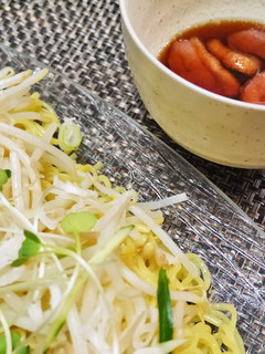 ざるラーメンDE冷やし鴨南蛮-レシピのメイン写真