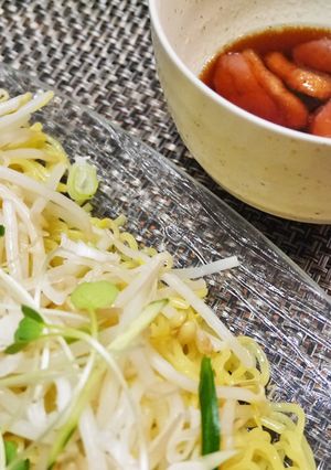 ざるラーメンＤＥ冷やし鴨南蛮-レシピのメイン写真