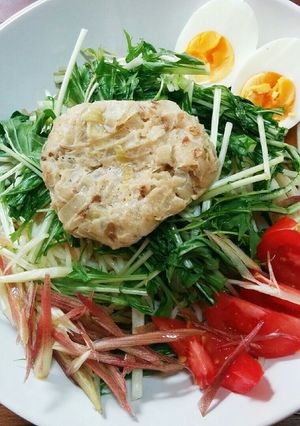 冷やしうどんのつゆ-レシピのメイン写真