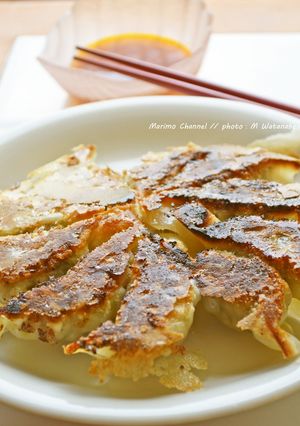 南部鉄のフライパンで焼く餃子-レシピのメイン写真