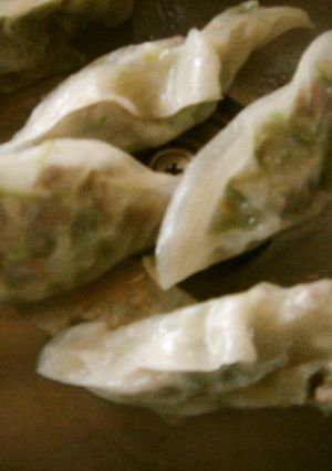 犬ご飯　食べ易い餃子-レシピのメイン写真