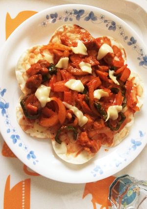 餃子の皮でトルティーヤ♪♪-レシピのメイン写真