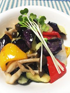 夏野菜たっぷり☆ナスの揚げ浸し-レシピのメイン写真