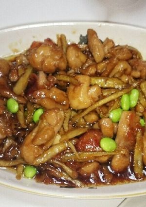 鳥モモ肉とごぼうの甘辛炒め-レシピのメイン写真