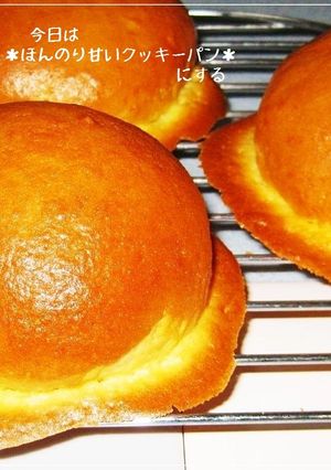 今日は＊ほんのり甘いクッキーパン＊にする-レシピのメイン写真