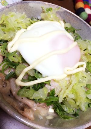 旦那がいないときのボリューム豚丼-レシピのメイン写真